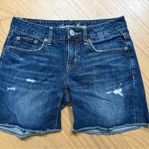 American Eagle Outfitters Women's Blue Denim Shorts
